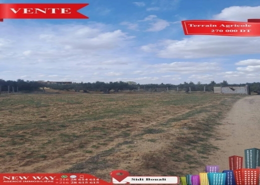 Terrain Agricole à Sidi Bouali près de l'autoroute