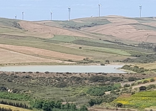 terrain À Vendre à BIZERTE - Terrain de 1930m² à vendre à ghar - Immobiliere.tn - Photo 7