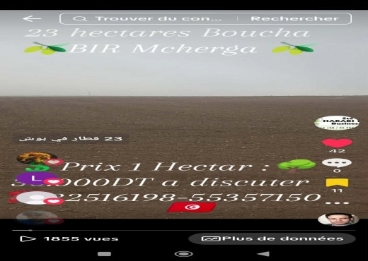 23 hectares excellentes sol fertil