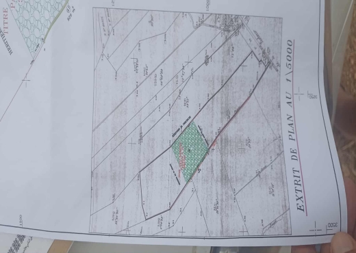 Ferme de 6h5 1 400 oliviers chemla