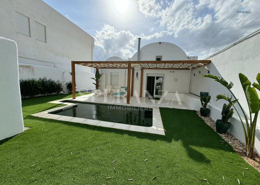 Villa Mykonos