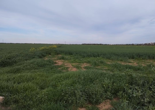 للبيع قطعة أرض جميلة جدا في موقع ممتاز