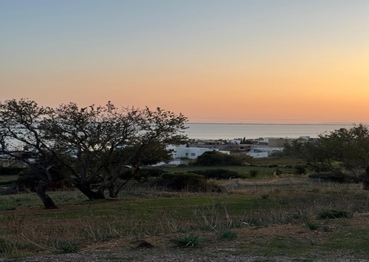 terrain À Vendre à BIZERTE - Terrain de 250m² avec vue sur mer - Immobiliere.tn - Photo 5