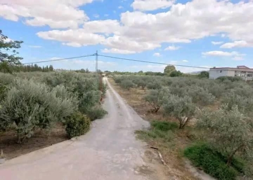 terrain agricole