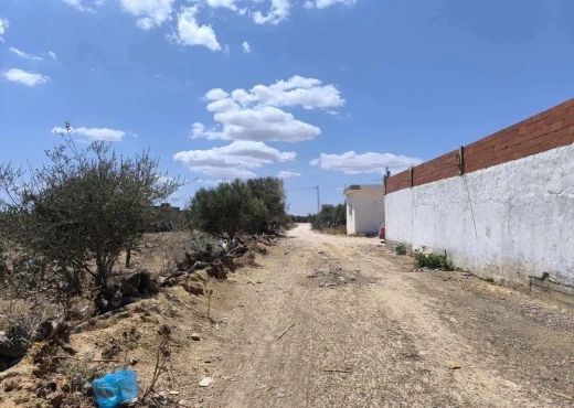 terrain À Vendre à MONASTIR - un terrain agricole - Immobiliere.tn - Photo 6
