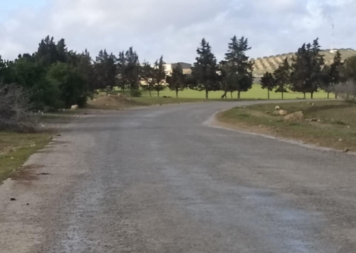 30 hectares pour  a tous les arbre