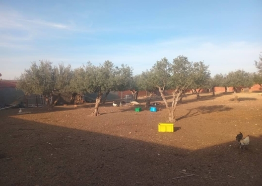 للبيع قطعة أرض في السعيدة-وادي الليل