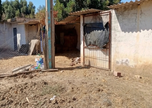 Ferme exceptionnelle située à Ras El Djebel