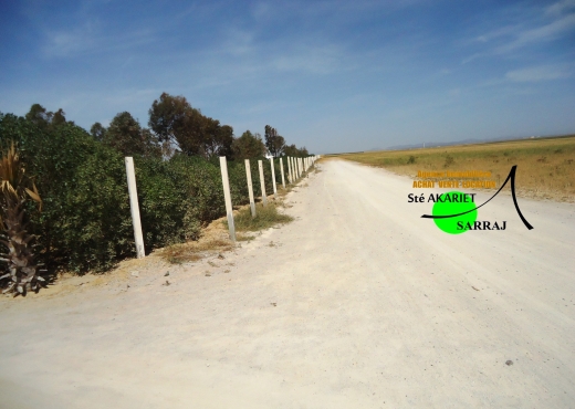 A Vendre Terrain a Hergla Sousse