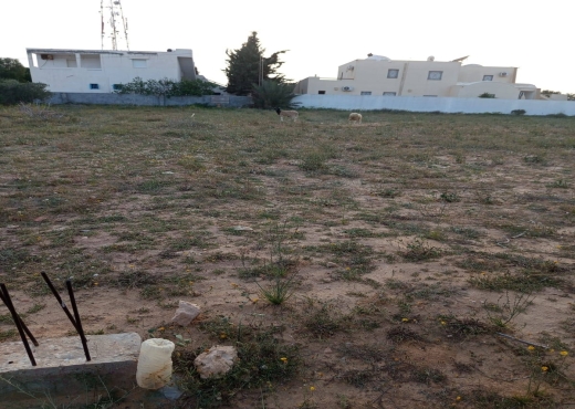 A Vendre Terrain à ElMey Djerba