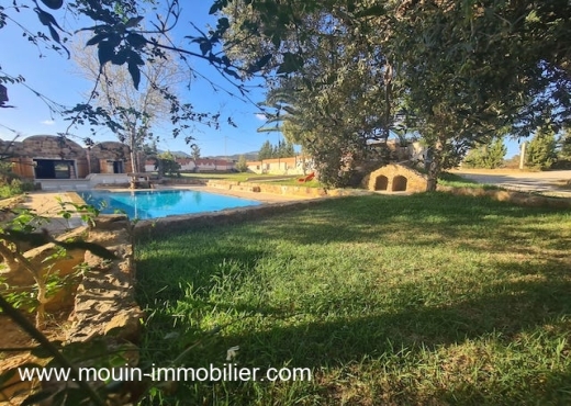 THE HOUSE Birbouregba AL3588