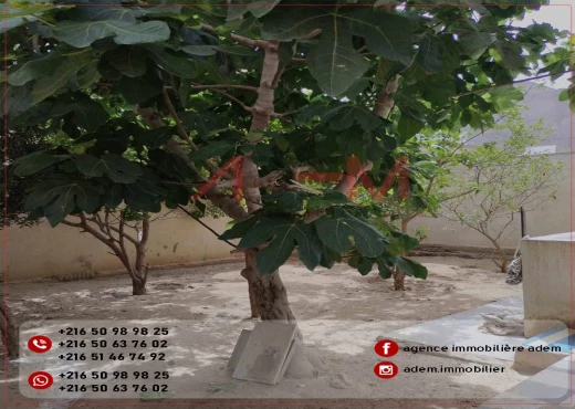 maison À Vendre à SOUSSE - A Vendre Maison a Sidi Abdelhamid - Immobiliere.tn - Photo 9