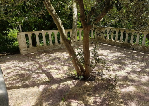 Maison de campagne 5000 m²  Ras je