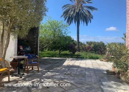 ferme À Vendre à NABEUL - Ferme Oliva T1230 Hammamet - Immobiliere.tn - Photo 2