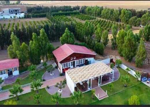 A vendre des lots de terrain à utique