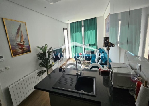 Appartement S+1 meublé