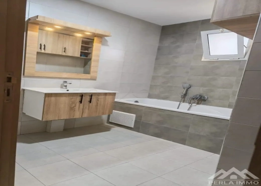 A Louer appart S+1 Soukra