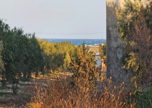 216m proche yessmin hamammet