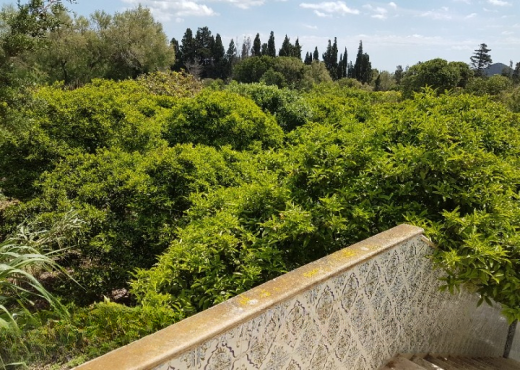 Maison de campagne 5000 m²  Ras je