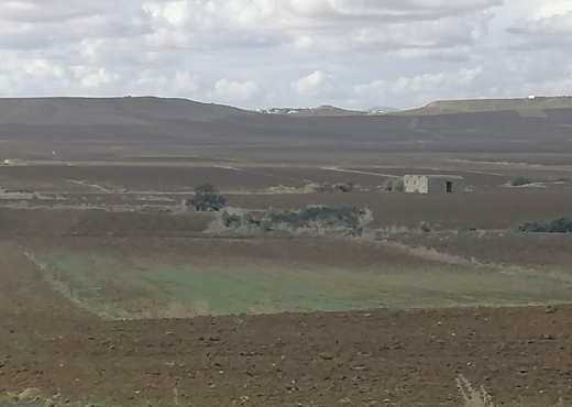 A Vendre Terrain Agricole