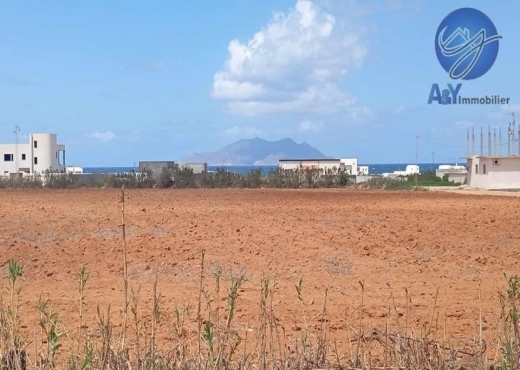 🌊 Terrain 1000 m² à Borj Salhi – Vue mer