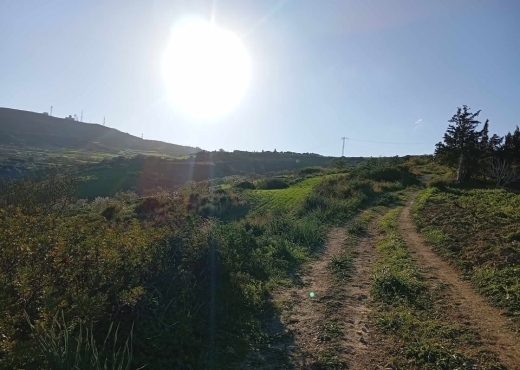 🌊 Terrain 4000 m² vue mer à Rafraf