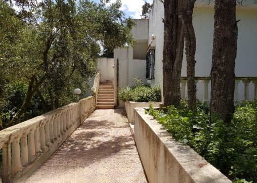 Maison de campagne 5000 m²  Ras je