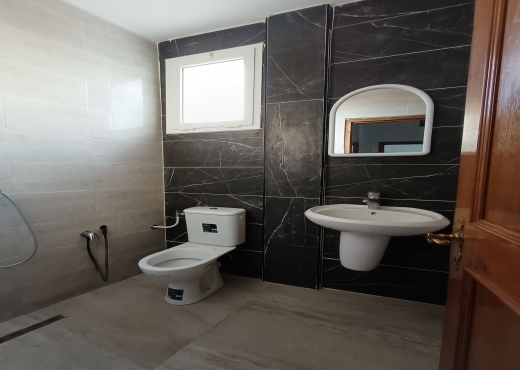 A vendre une maison de style américain s+3