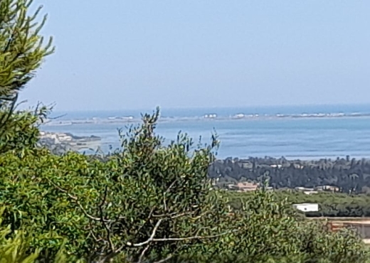 terrain À Vendre à BIZERTE - Terrain de 1930m² à vendre à ghar - Immobiliere.tn - Photo 3