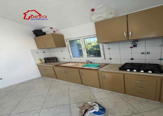 terrain BIRCHKA VTM075