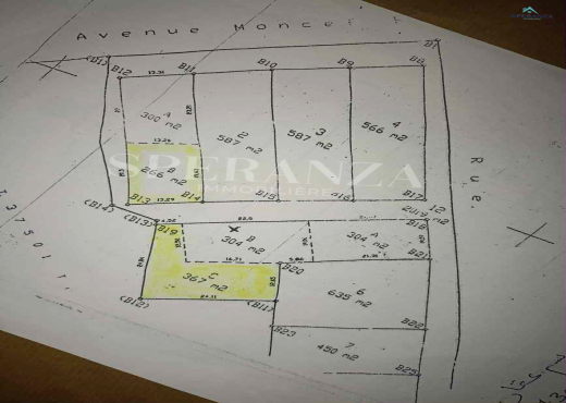 Vente Terrain Condor