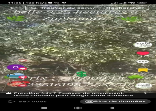 Magnifique ferme 9 hectares 2500m2