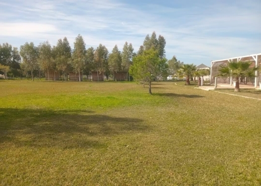 A vendre des lots de terrain à utique