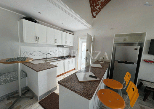 Location appartement justine S+3
