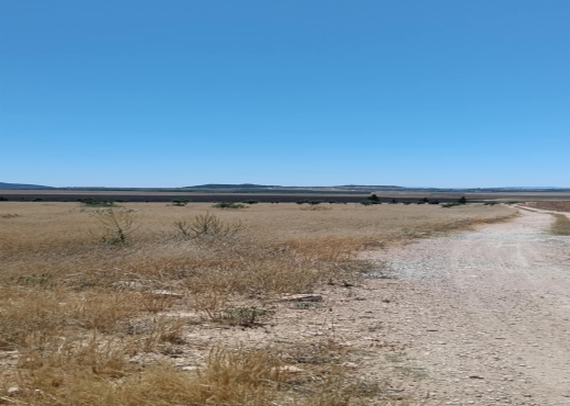 terrain agricole