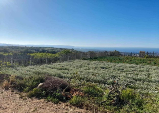 Terrainà  raf raf  de 2400 m².