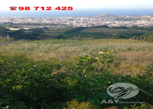 terrain À Vendre à BIZERTE - 📍 Terrain à vendre à EL NADHOUR – Rafraf - Immobiliere.tn - Photo 5