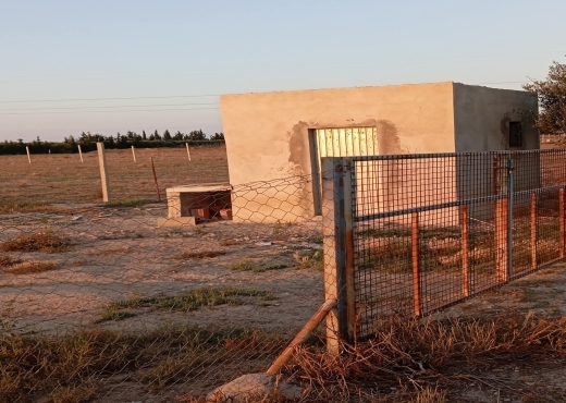 للبيع في سيدي ثابت 2500 متر