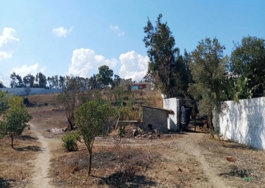 Ferme exceptionnelle située à Ras El Djebel