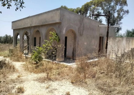 terrain À Vendre à SOUSSE - terrain agricole à vendre - Immobiliere.tn