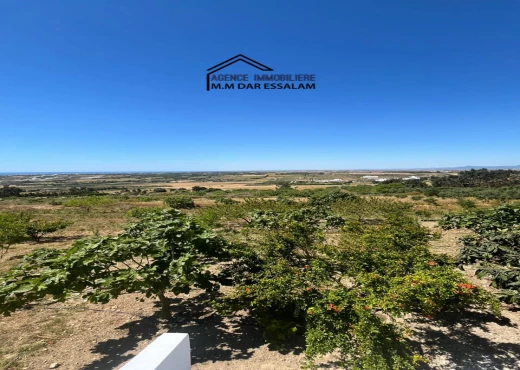 terrain À Vendre à NABEUL - terrain avec une vue agréable - Immobiliere.tn - Photo 7