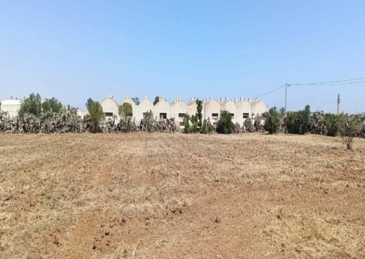 للبيع: أرض فلاحية في المكنين