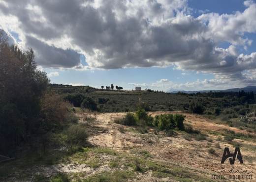 Terrain agricole de 2033 m² à Beni