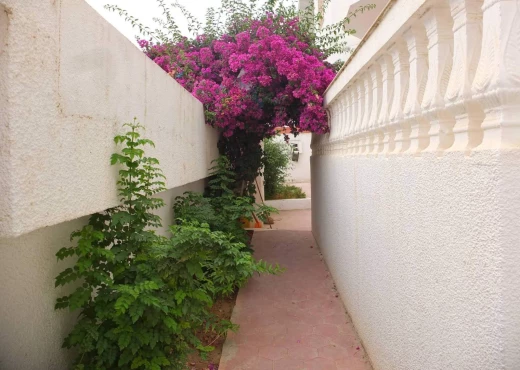 villa À Vendre à NABEUL - A Vendre Villa à Hammamet - Immobiliere.tn - Photo 5