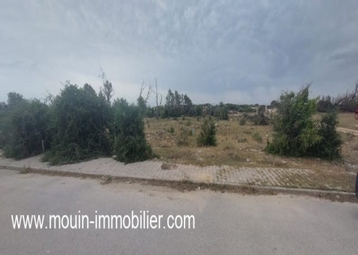 TERRAIN LAMISE Beni Khiar T1028