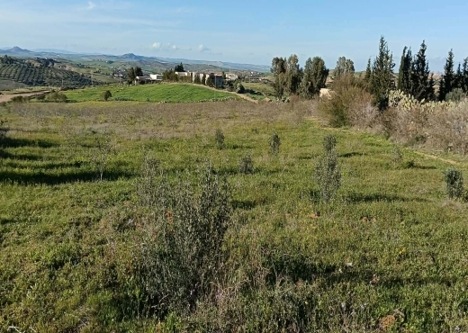 terrain À Vendre à ZAGHOUAN - TERRAIN AGRICOLE A VENDRE - Immobiliere.tn - Photo 3