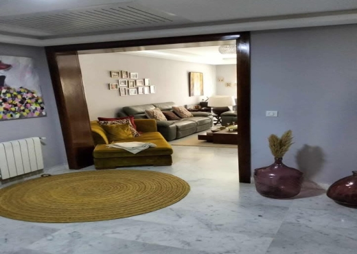 Grand S+3 a Vendre J de Carthage