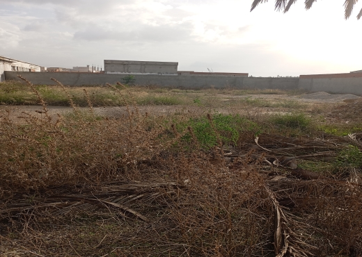 Terrain de vocation industriel