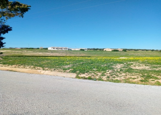 Terrain agricole 14hectares tborba