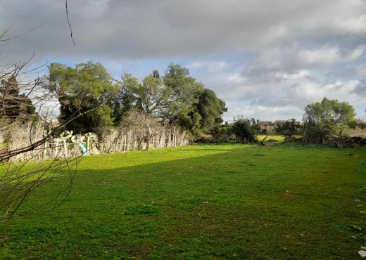 terrain À Vendre à BIZERTE - terrain à vendre - Immobiliere.tn